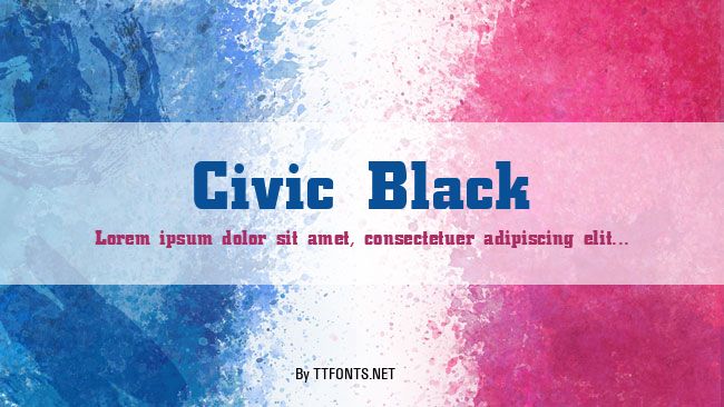 Civic Black example